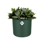 b.for soft rund 16cm laubgrün